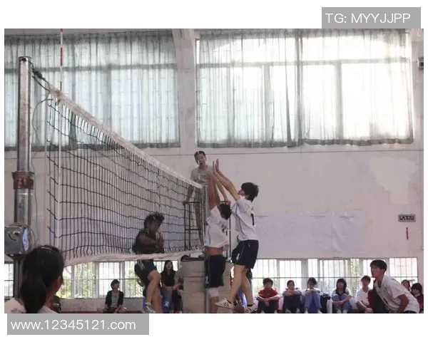 广州排球队心理素质分析:在邀请赛中的表现与启示 广州排球队心理素质分析:在邀请赛中的表现与启示