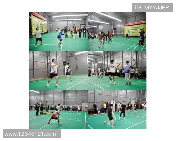 成都羽毛球队的节奏与激情：聚焦羽毛球运动的魅力与发展